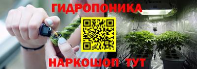 крисы Новокубанск