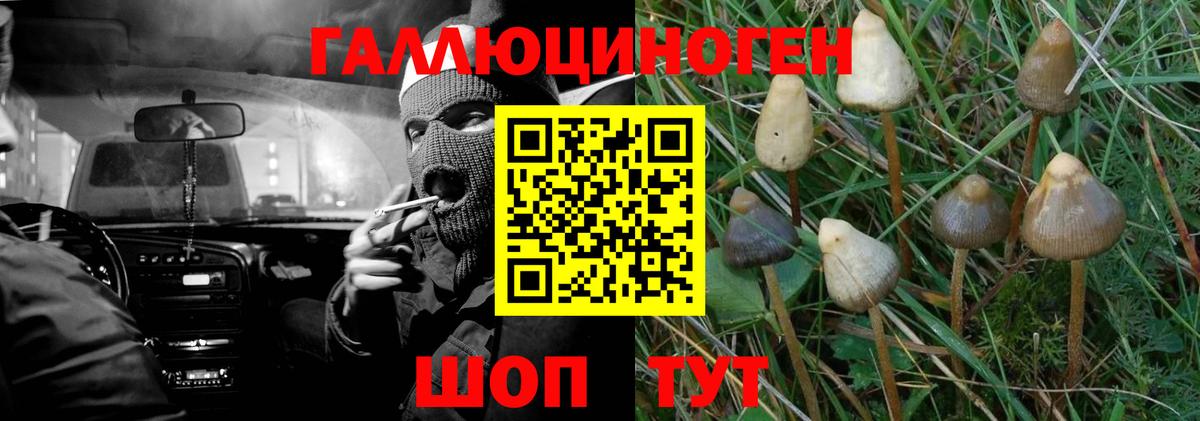 Псилоцибиновые грибы MAGIC MUSHROOMS Великие Луки