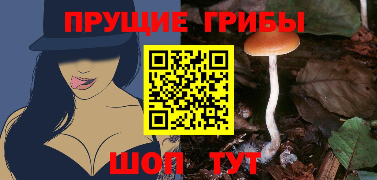 Великие Луки  Галлюциногенные грибы мицелий  Вход с VPN 